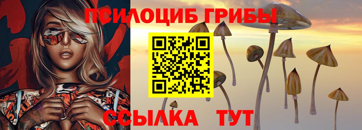Галлюциногенные грибы GOLDEN TEACHER Киреевск