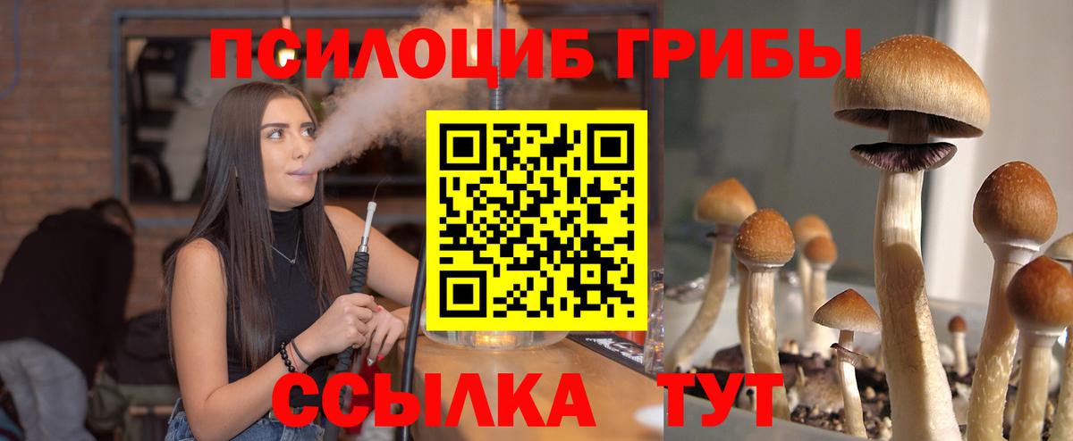 Галлюциногенные грибы прущие грибы  купить   Киреевск  Галлюциногенные грибы Magic Shrooms  Вход с VPN 